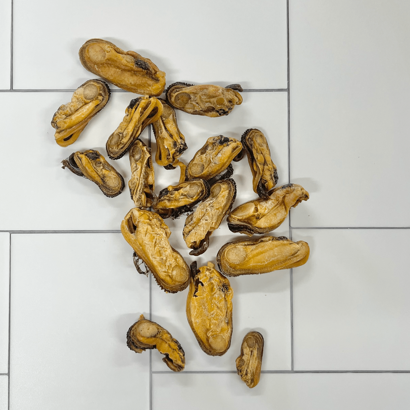 Gettn' Lippy Wit It - Green Lipped Mussels-Dog Treat-Rover Pet Products