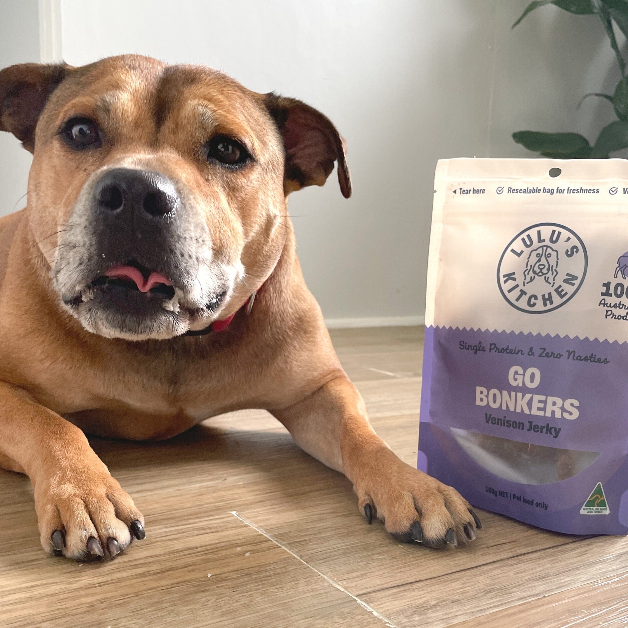 Go Bonkers - Venison Jerky-Dog Treat-Rover Pet Products