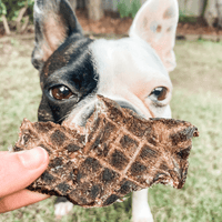 Go Bonkers - Venison Jerky-Dog Treat-Rover Pet Products