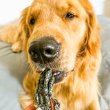 GOT CROCS-Dog Treat-Rover Pet Products