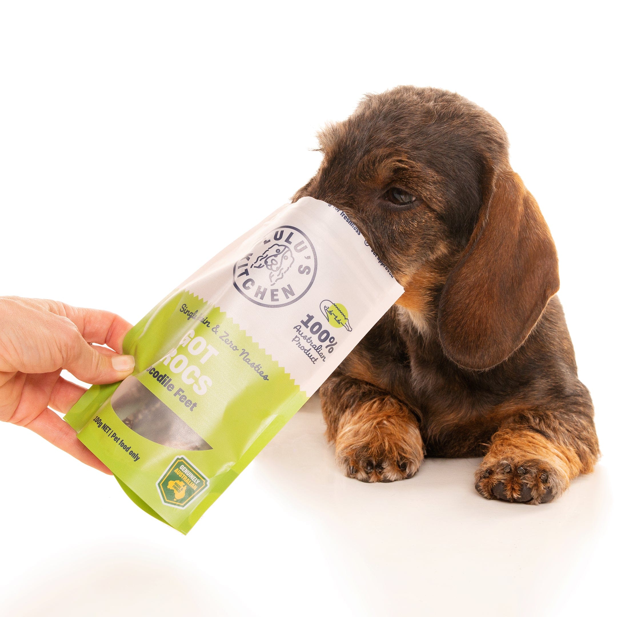 GOT CROCS-Dog Treat-Rover Pet Products