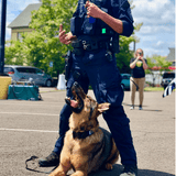 Grenade Reward Toy (with rope)-Dog Toy-Rover Pet Products