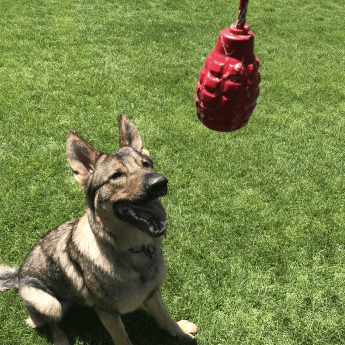 Grenade Reward Toy (with rope)-Dog Toy-Rover Pet Products