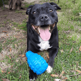 Grenade-Dog Toy-Rover Pet Products