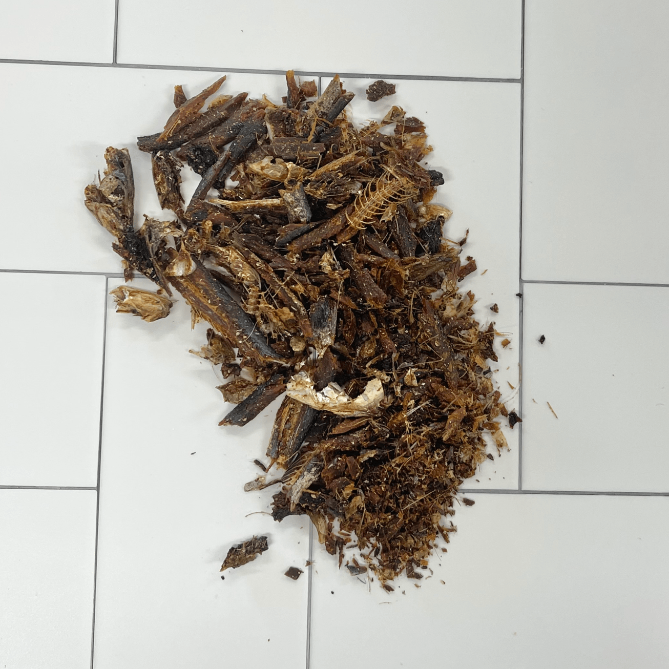 Grind My Gear - Ground Pilchard Meal Topper-Dog Treat-Rover Pet Products