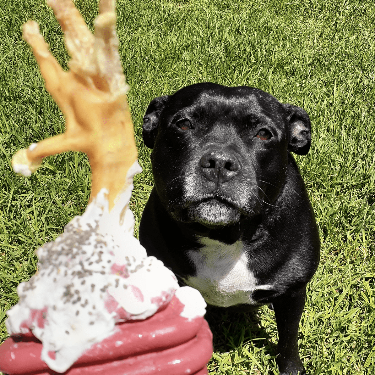 Heart On A String-Dog Toy-Rover Pet Products