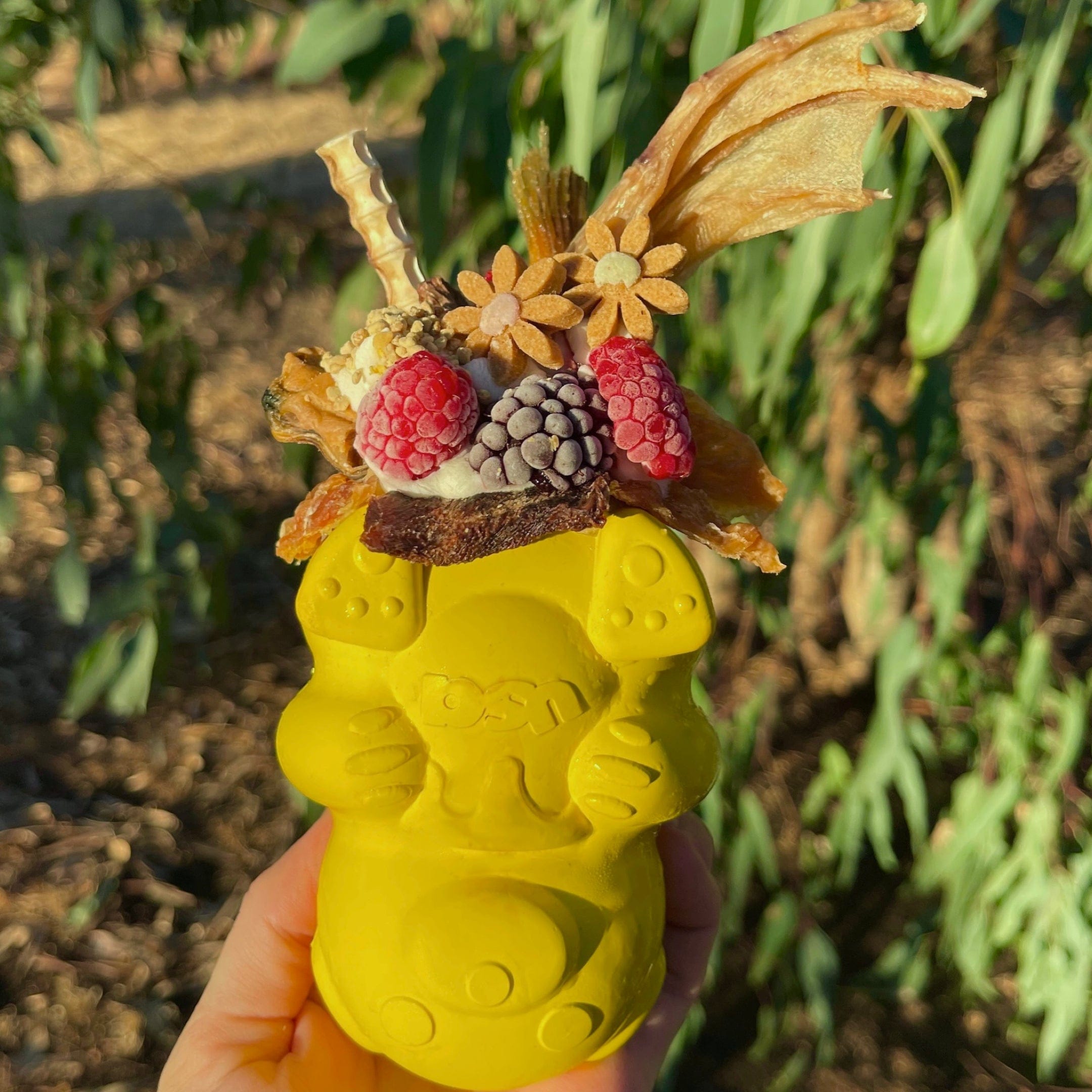 Honey Bear-Dog Toy-Rover Pet Products