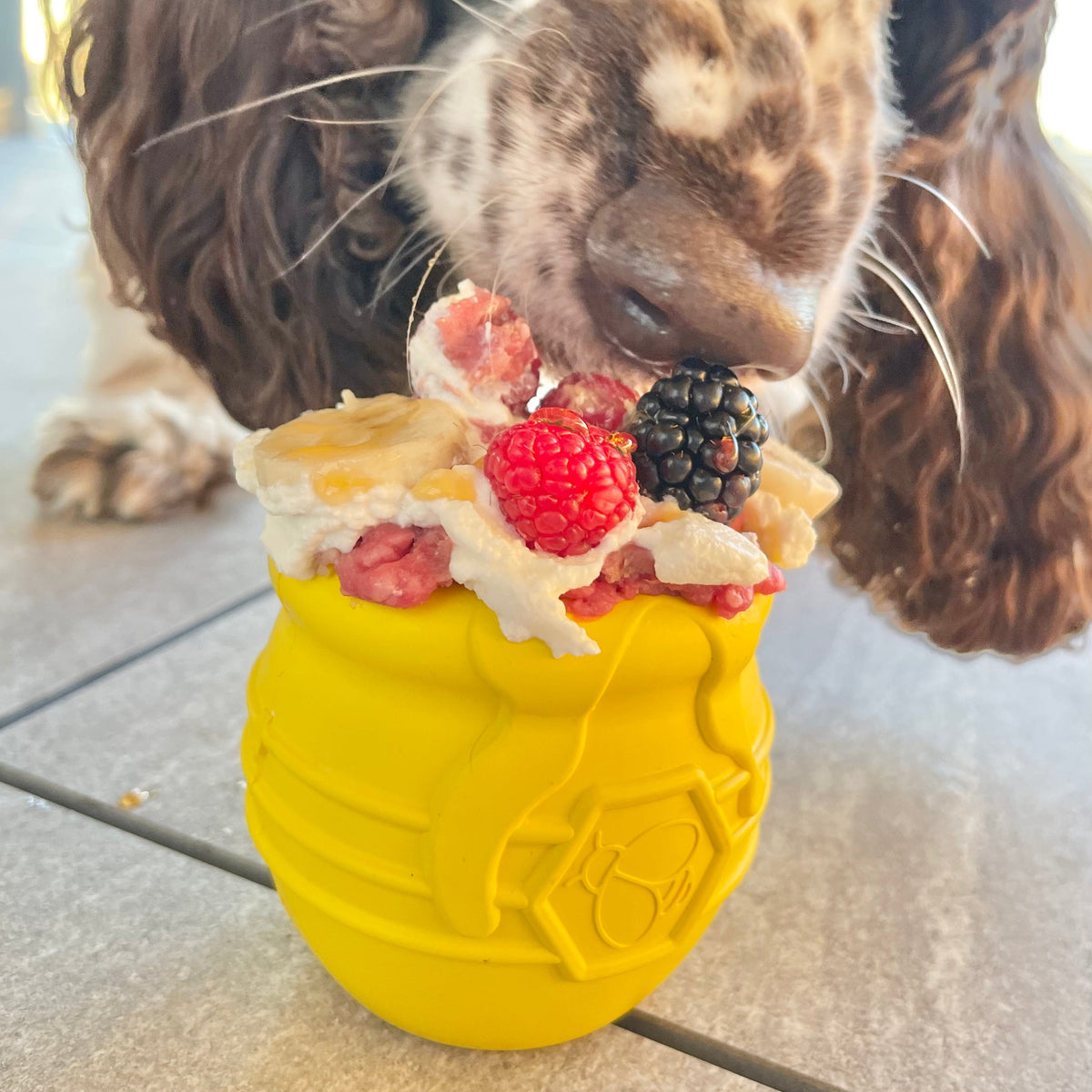 Honey Pot-Dog Toy-Rover Pet Products