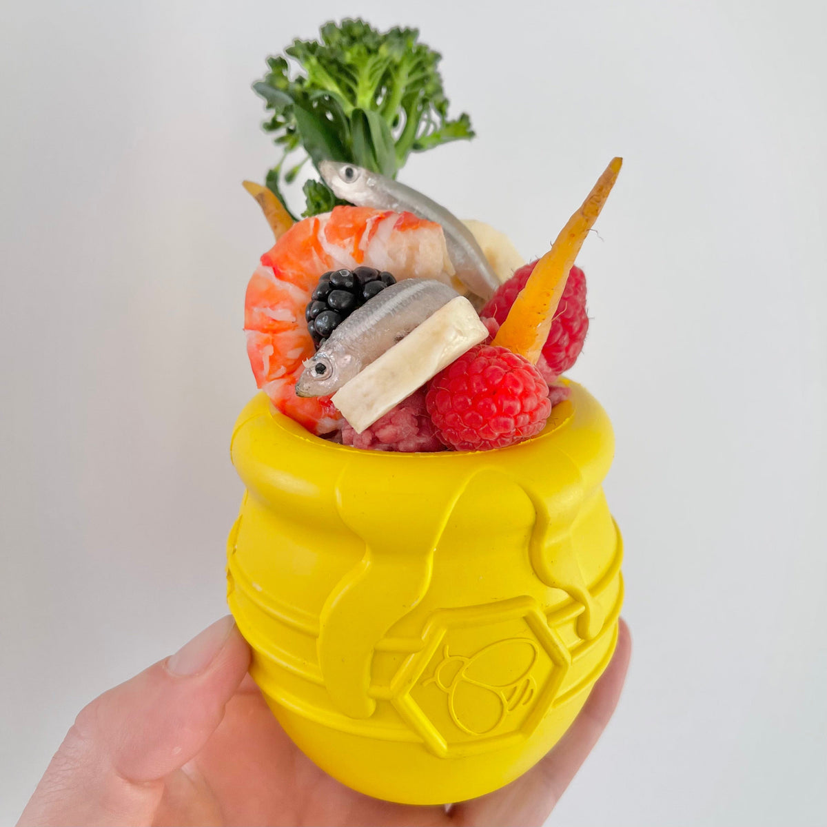 Honey Pot XL - Limited STOCK-Dog Toy-Rover Pet Products