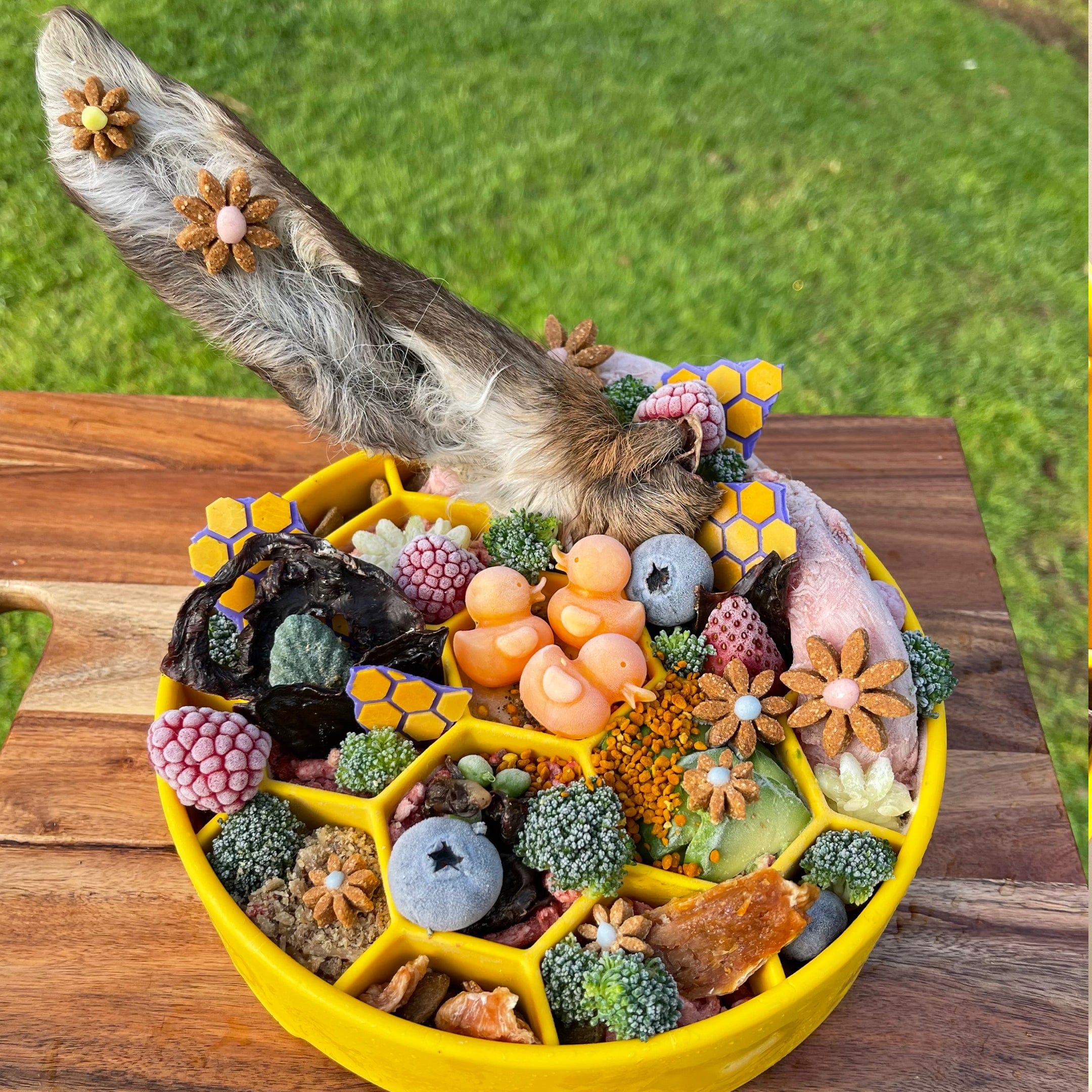 Honeycomb eBowl-Slow Feeder-Rover Pet Products