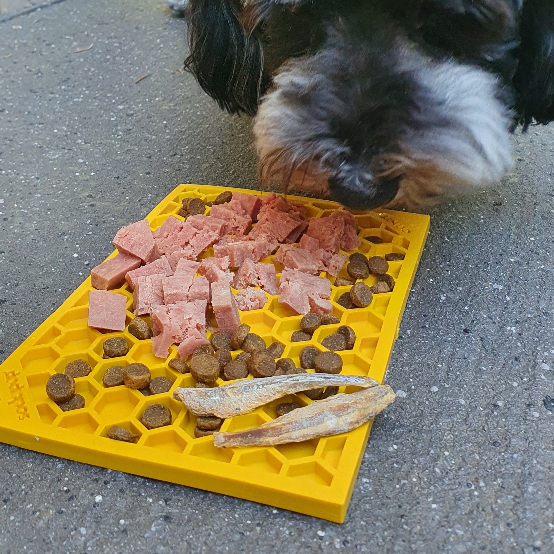 Honeycomb eMat Enrichment Lick Mat-Slow Feeder-Rover Pet Products