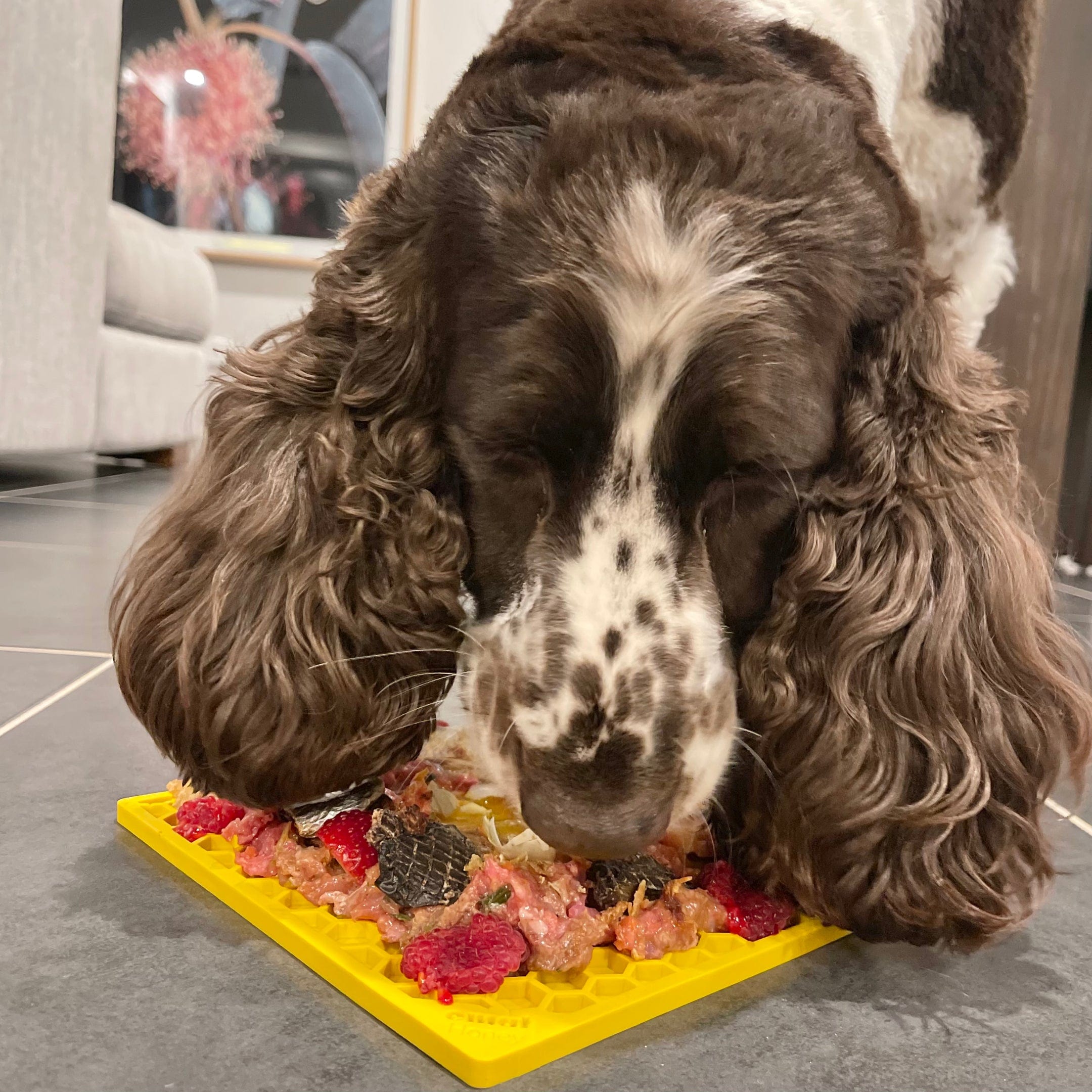 Honeycomb eMat (Large) Enrichment Lick Mat-Slow Feeder-Rover Pet Products