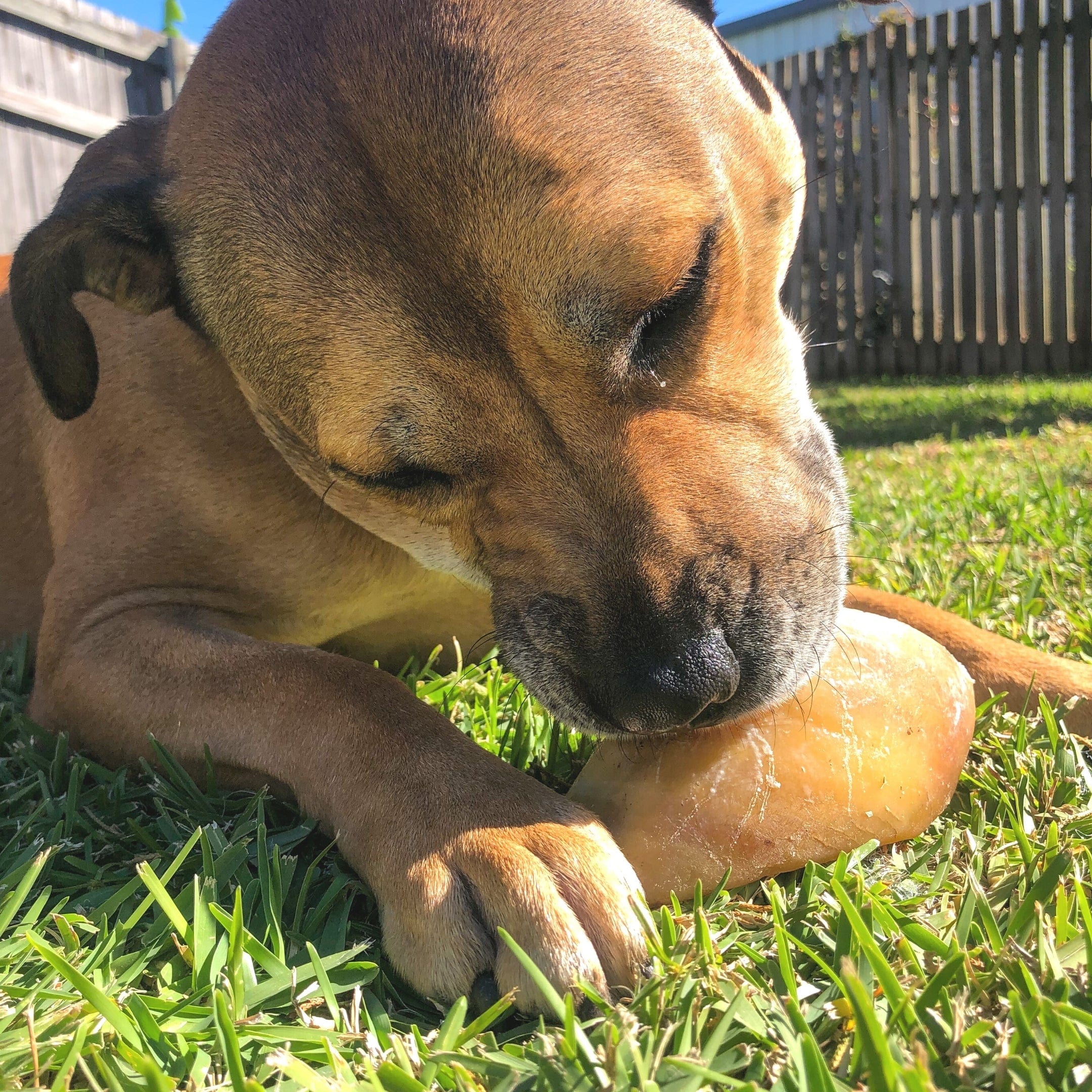 Hooves There? - Cow Hooves-Dog Treat-Rover Pet Products