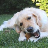 Hooves There? - Cow Hooves-Dog Treat-Rover Pet Products