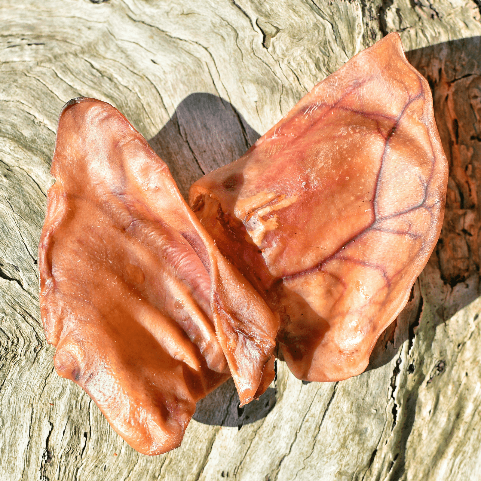 I'm Hearin Ya! - Pig Ears-Dog Treat-Rover Pet Products