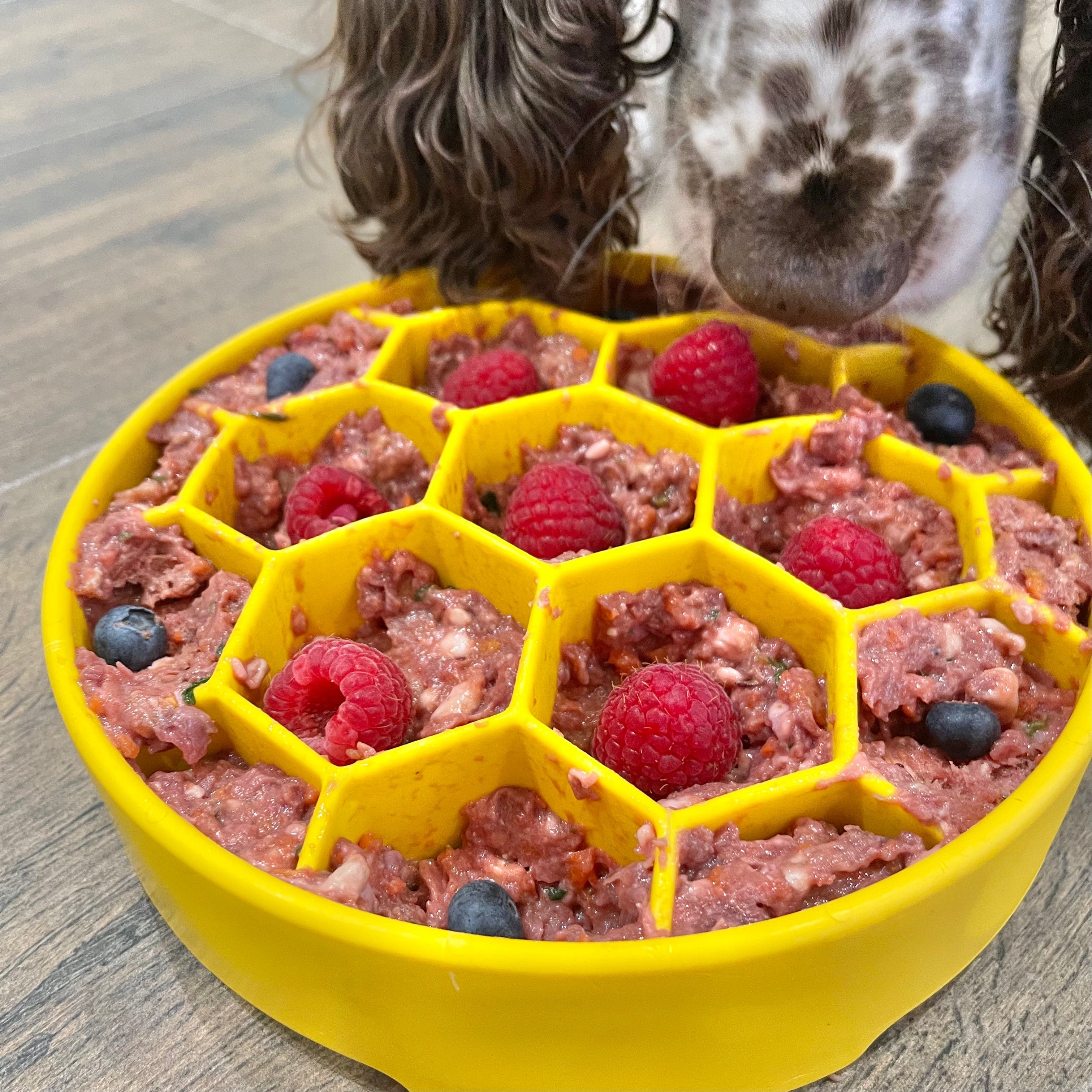 Honeycomb Design eBowl Enrichment Slow Feeder Bowl for Dogs