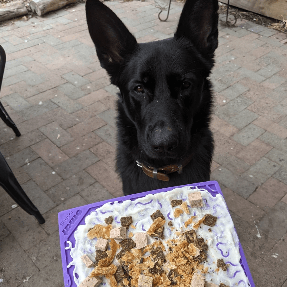 JIGSAW eMat Enrichment Lick Mat-Slow Feeder-Rover Pet Products