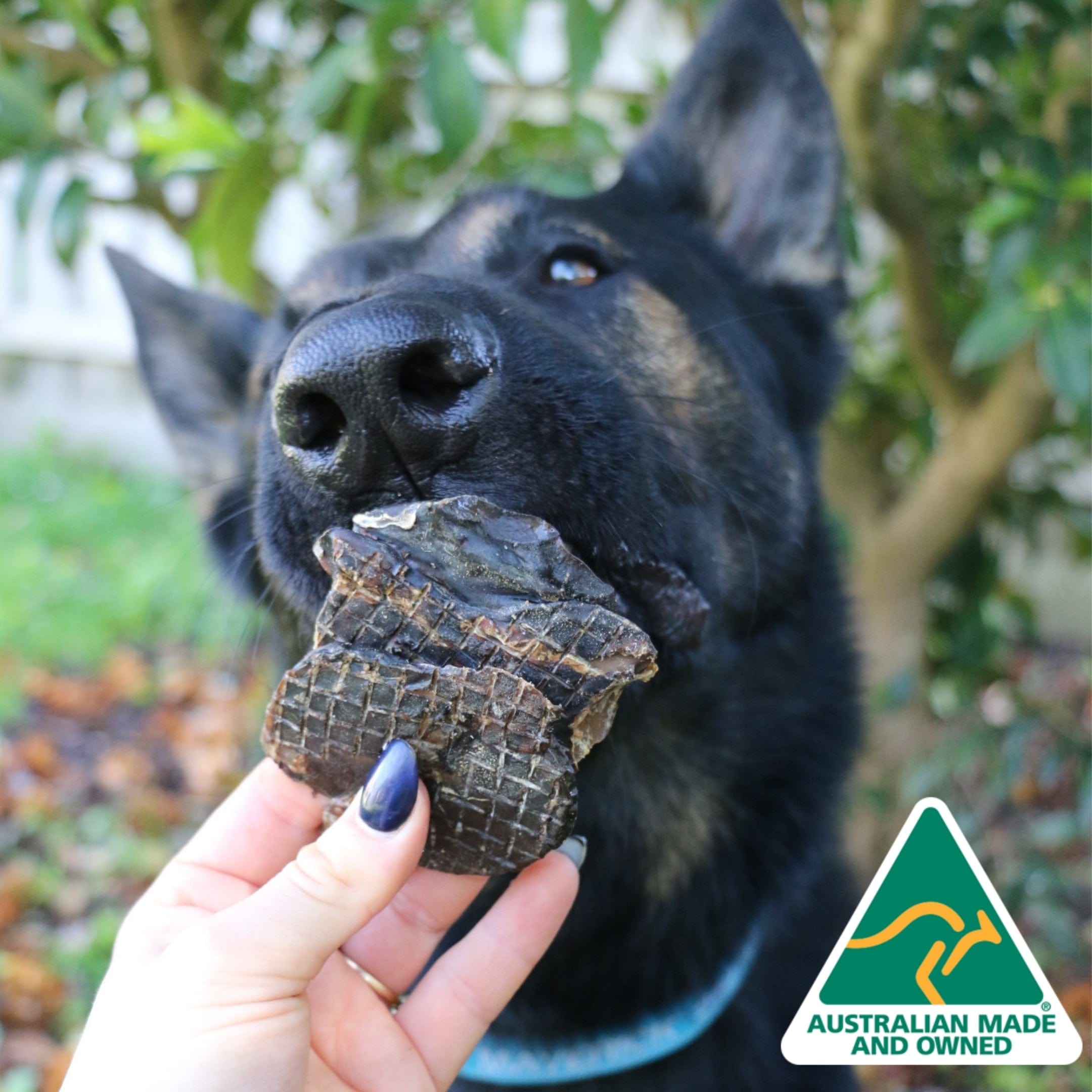 Kanga Kidney - Kangaroo Kidney-Dog Treat-Rover Pet Products