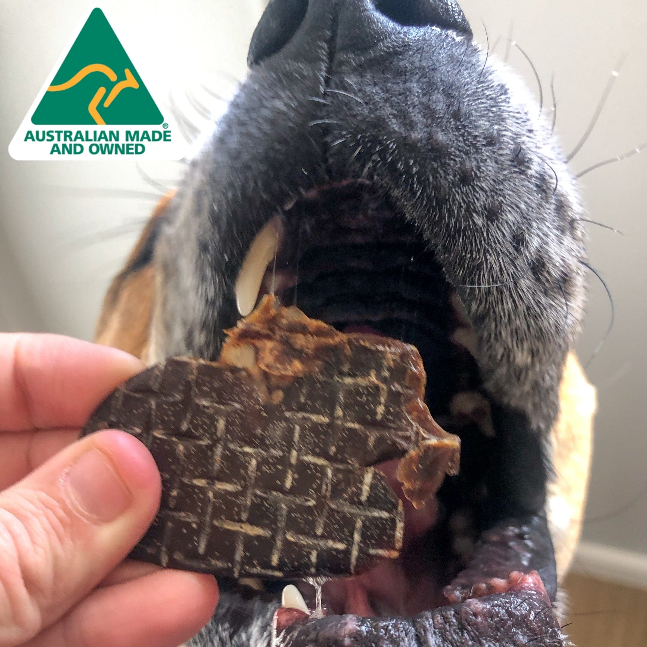 Kanga Kidney - Kangaroo Kidney-Dog Treat-Rover Pet Products