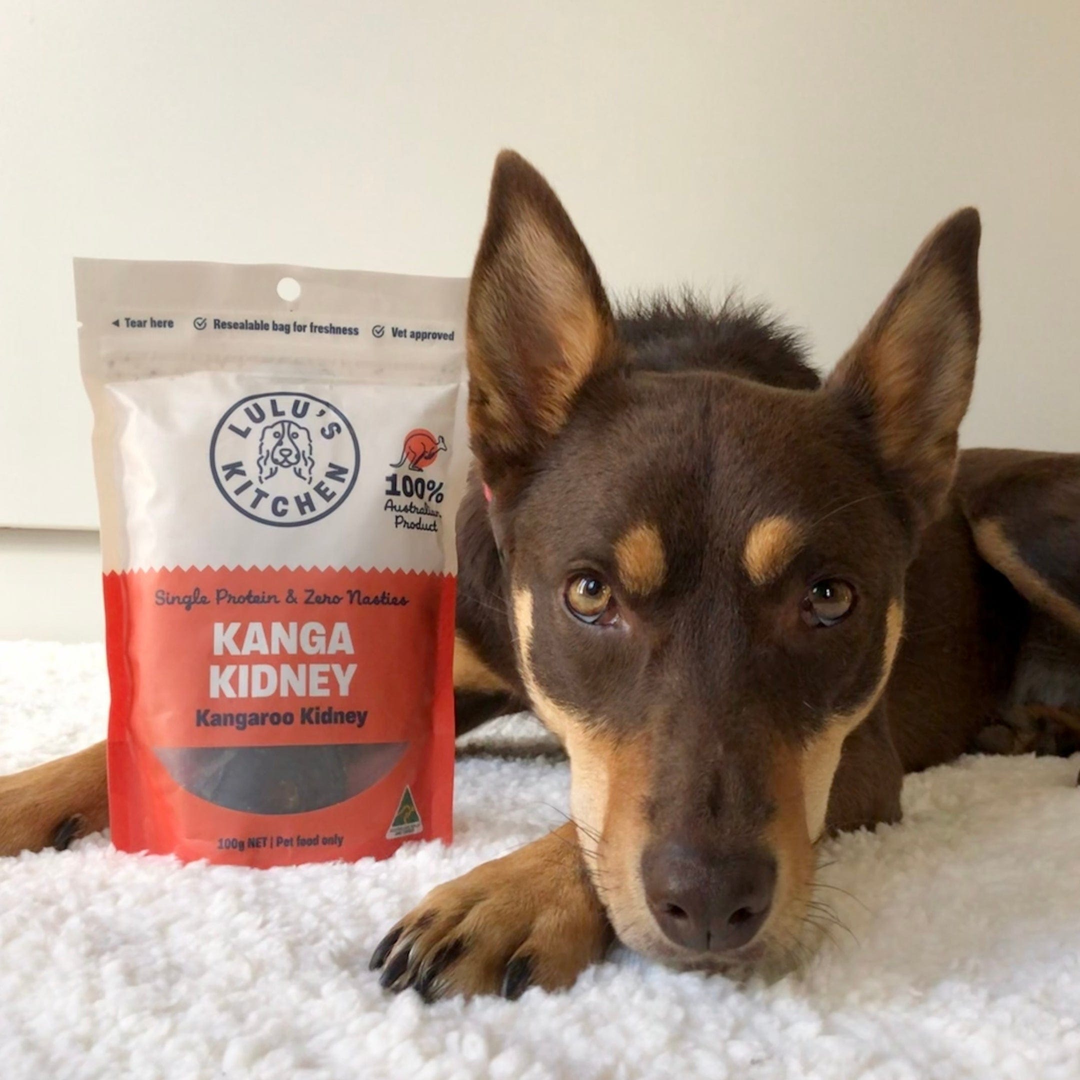 Kanga Kidney - Kangaroo Kidney-Dog Treat-Rover Pet Products