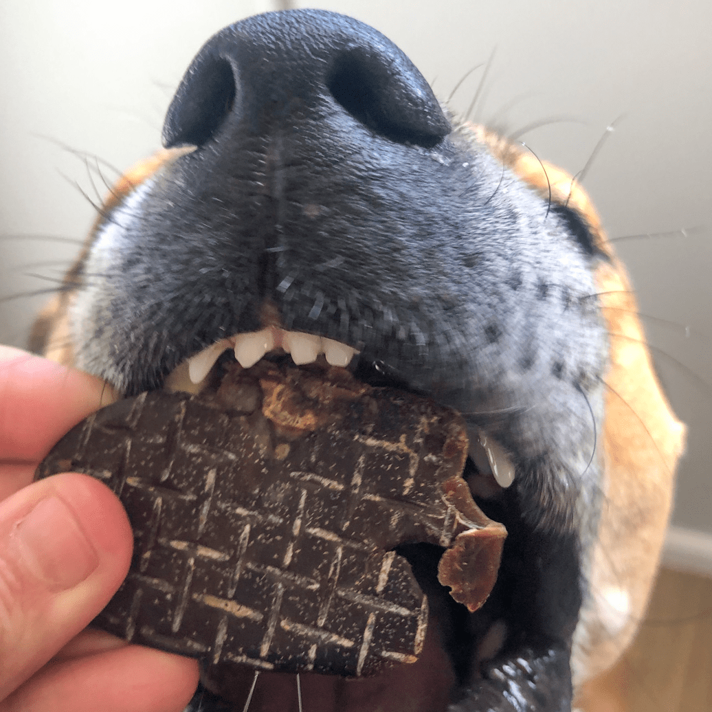 Kanga Kidney - Kangaroo Kidney-Dog Treat-Rover Pet Products