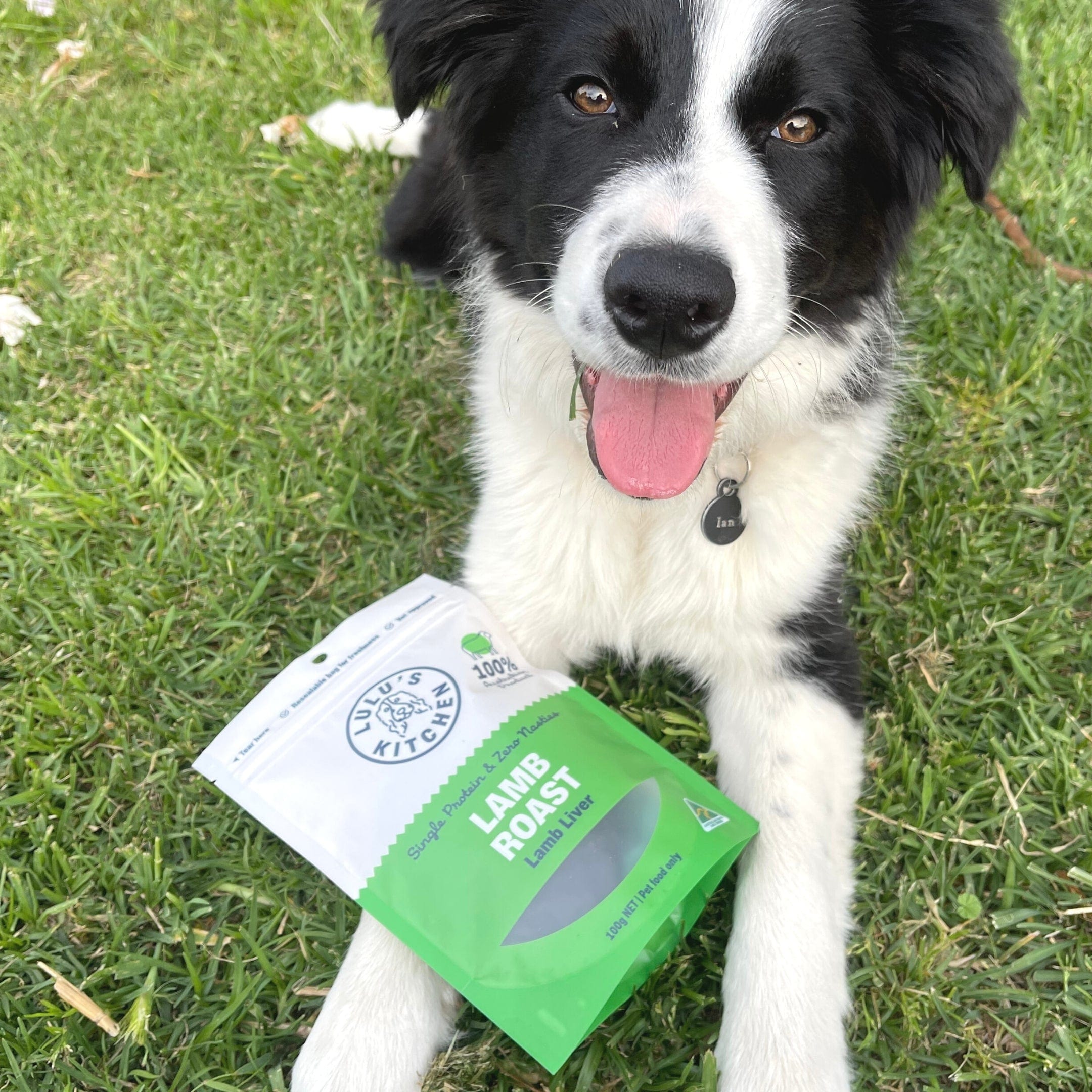 Lamb Roast - Lamb Liver-Dog Treat-Rover Pet Products