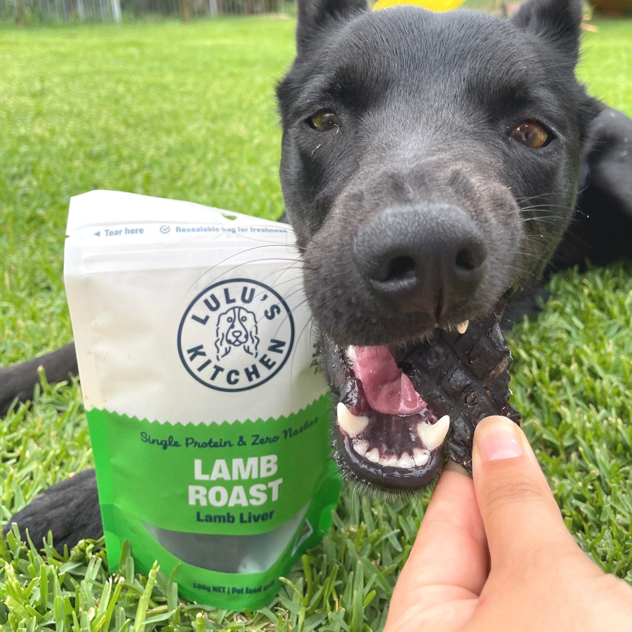 Lamb Roast - Lamb Liver-Dog Treat-Rover Pet Products