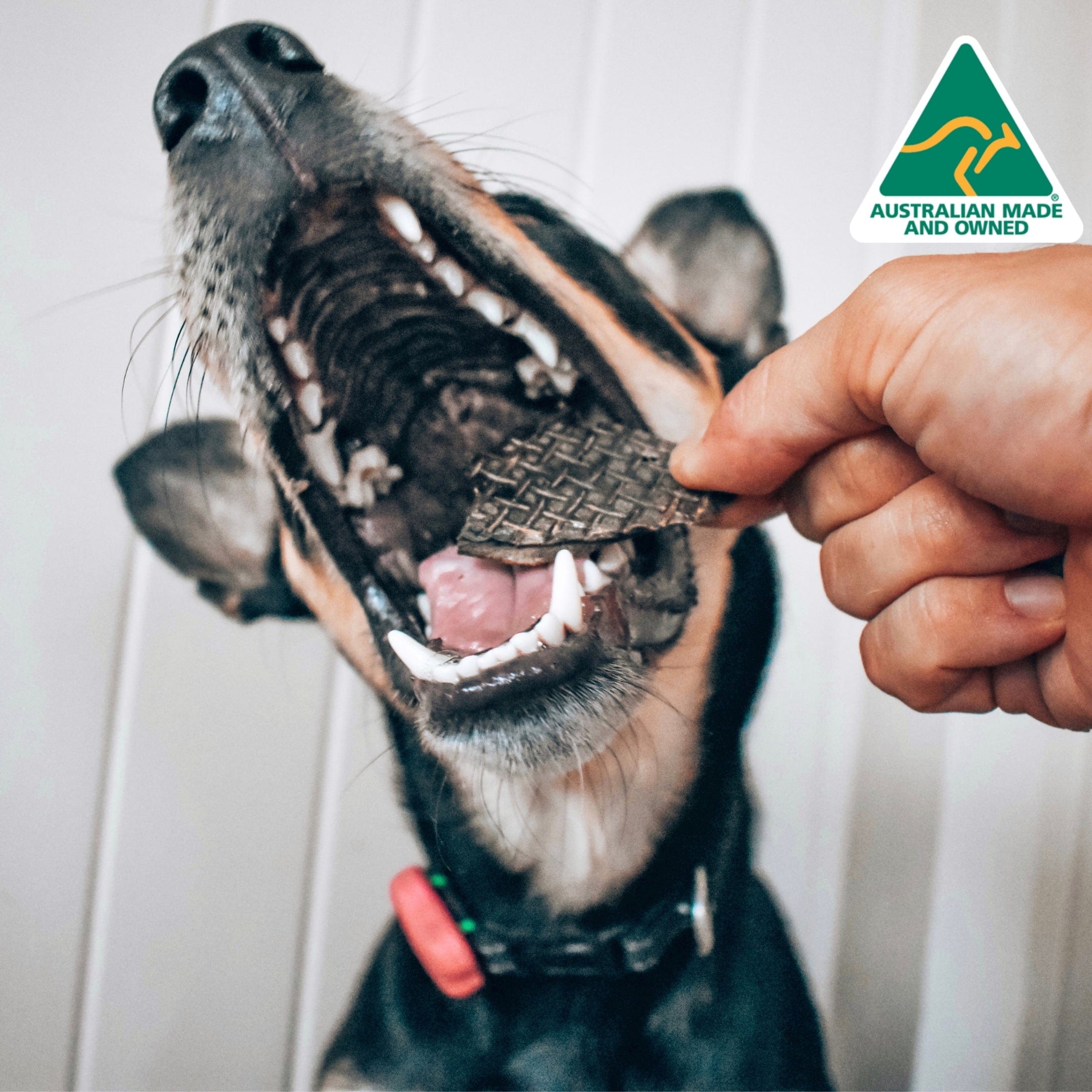 Lamb Roast - Lamb Liver-Dog Treat-Rover Pet Products