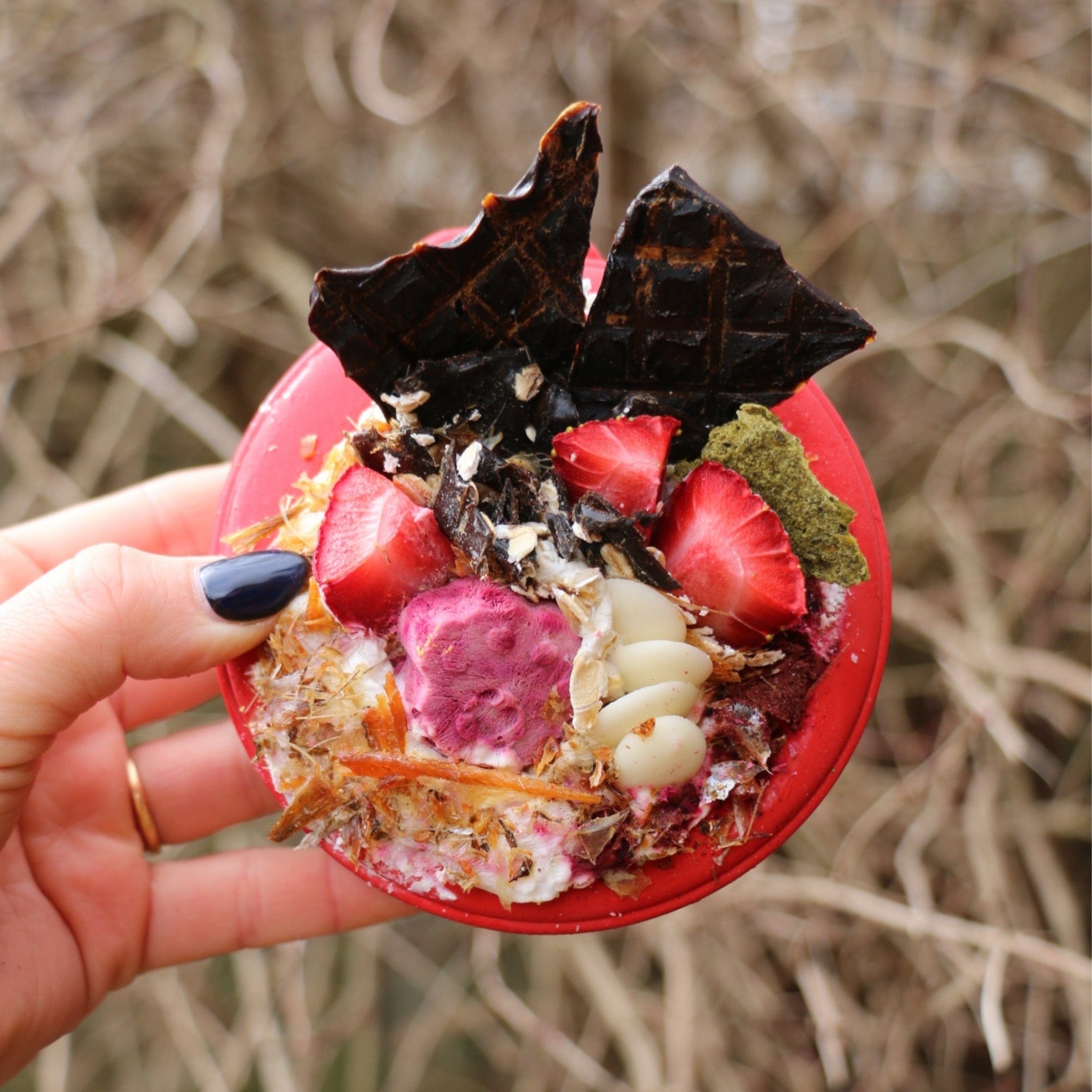 Lifesaver-Dog Toy-Rover Pet Products