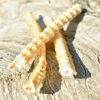 Don't Go Swimmin - Shark Cartilage-Dog Treat-Rover Pet Products
