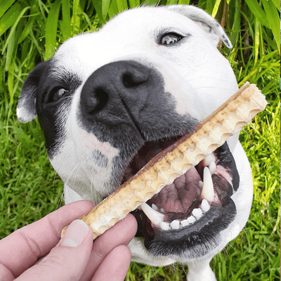 Australian Shark Cartilage Treats – Joint + Dental Chew
