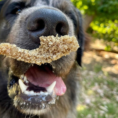 Beef Tripe Dog Treats – Aussie Digestive & Gut Support