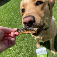 Croc Crisps - Crocodile Chips-Dog Treat-Rover Pet Products