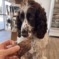 Go Bonkers - Venison Jerky-Dog Treat-Rover Pet Products