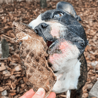Go Bonkers - Venison Jerky-Dog Treat-Rover Pet Products