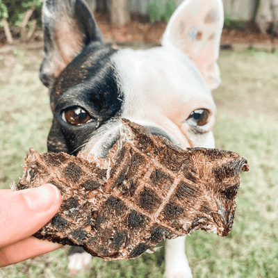 Venison Jerky Dog Treats – Aussie, Grain‑Free & High‑Protein