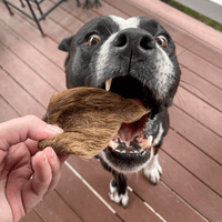 Don't Be Boaring - Boar Ears-Unclassified-Rover Pet Products