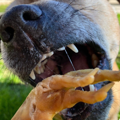 Chicken Feet Chews – Aussie Low‑Fat Dental Treat