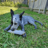 Gone Fishn' - Shark Tails-Dog Treat-Rover Pet Products