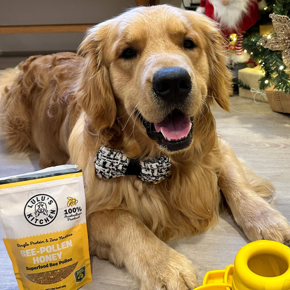 BEE-POLLEN-Dog Treat-Rover Pet Products