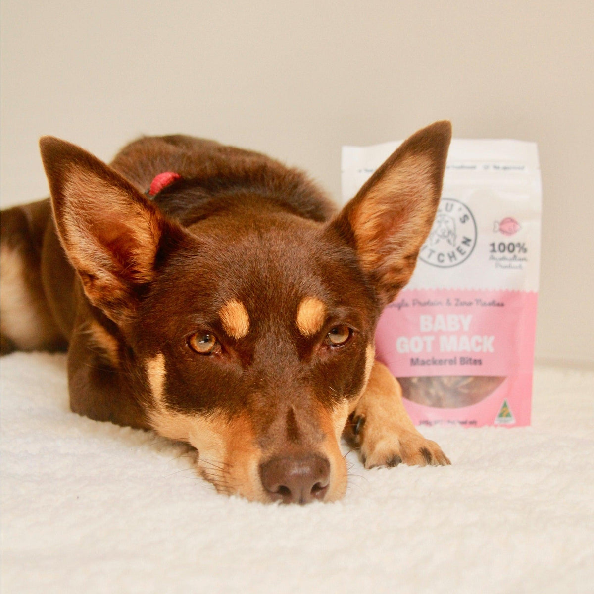 Baby Got Mack - Mackerel Bites-Dog Treat-Rover Pet Products