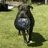 Magnum Bottle Top Flyer-Dog Toy-Rover Pet Products