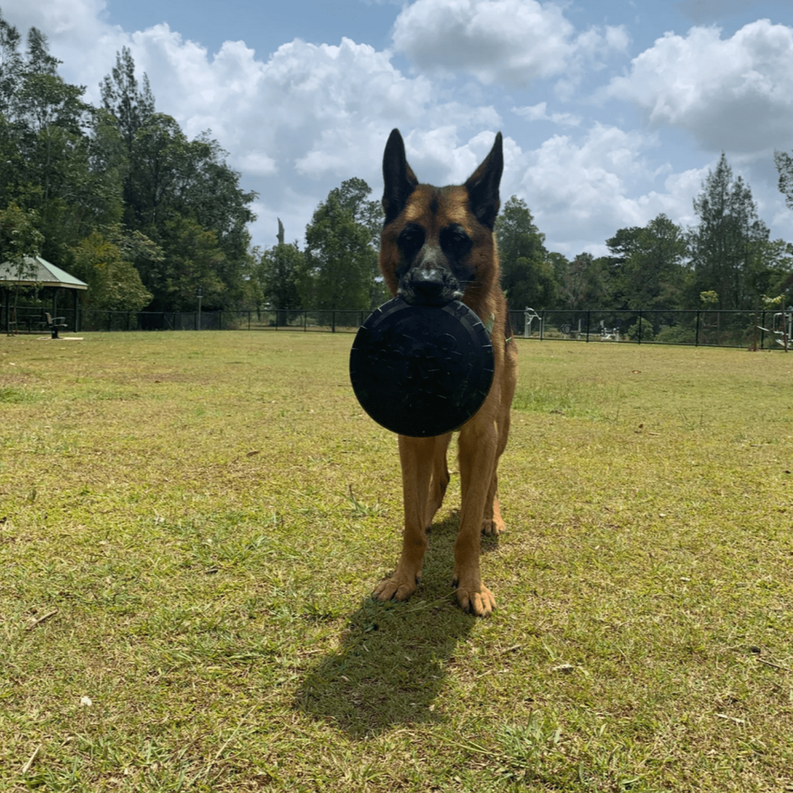 Magnum Bottle Top Flyer-Dog Toy-Rover Pet Products
