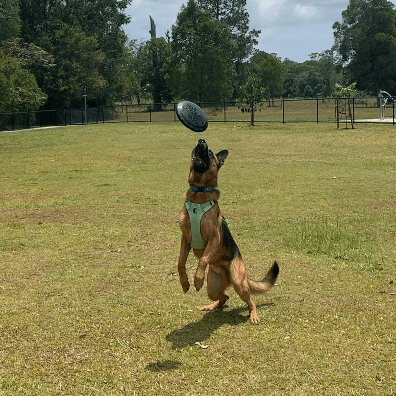 Magnum Bottle Top Flyer-Dog Toy-Rover Pet Products
