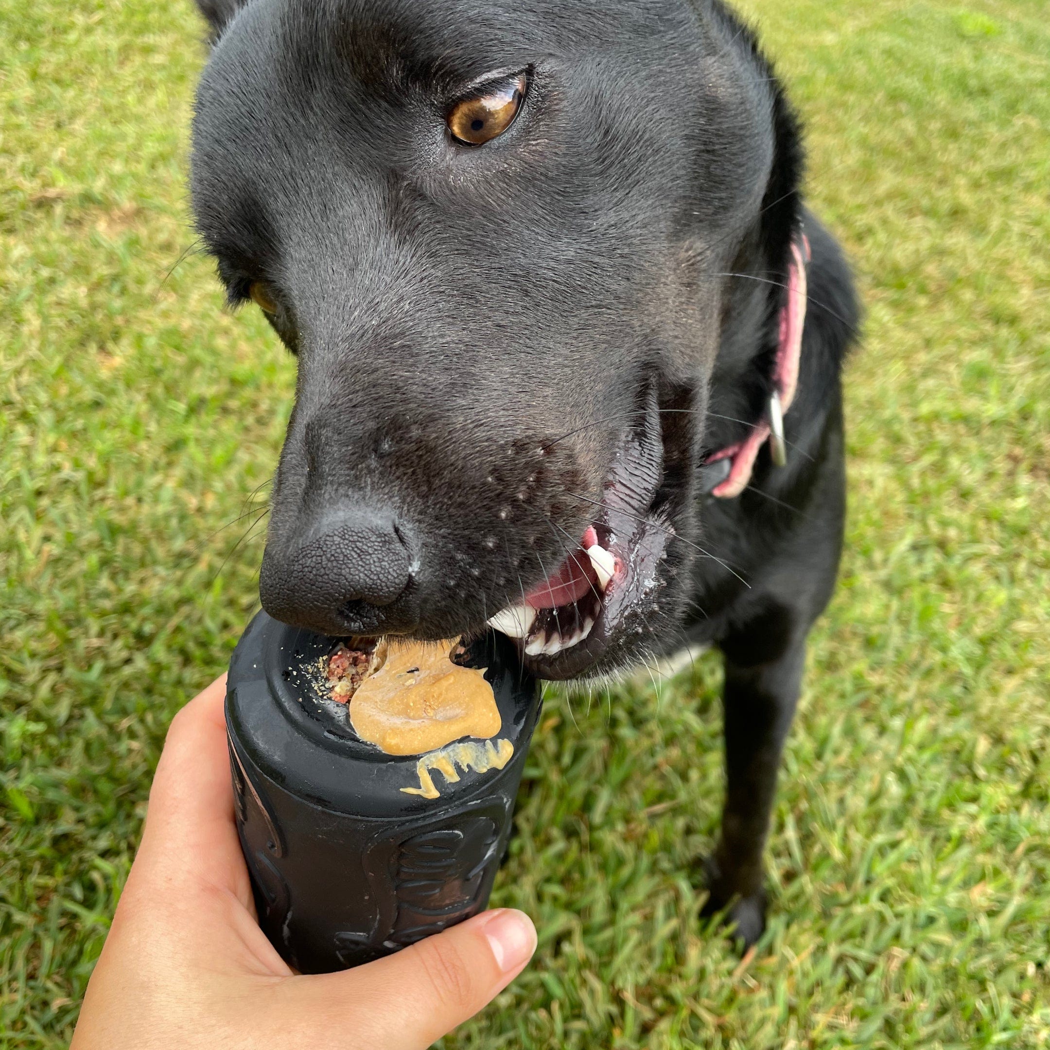 Magnum Can Toy (Power Chewers)-Dog Toy-Rover Pet Products