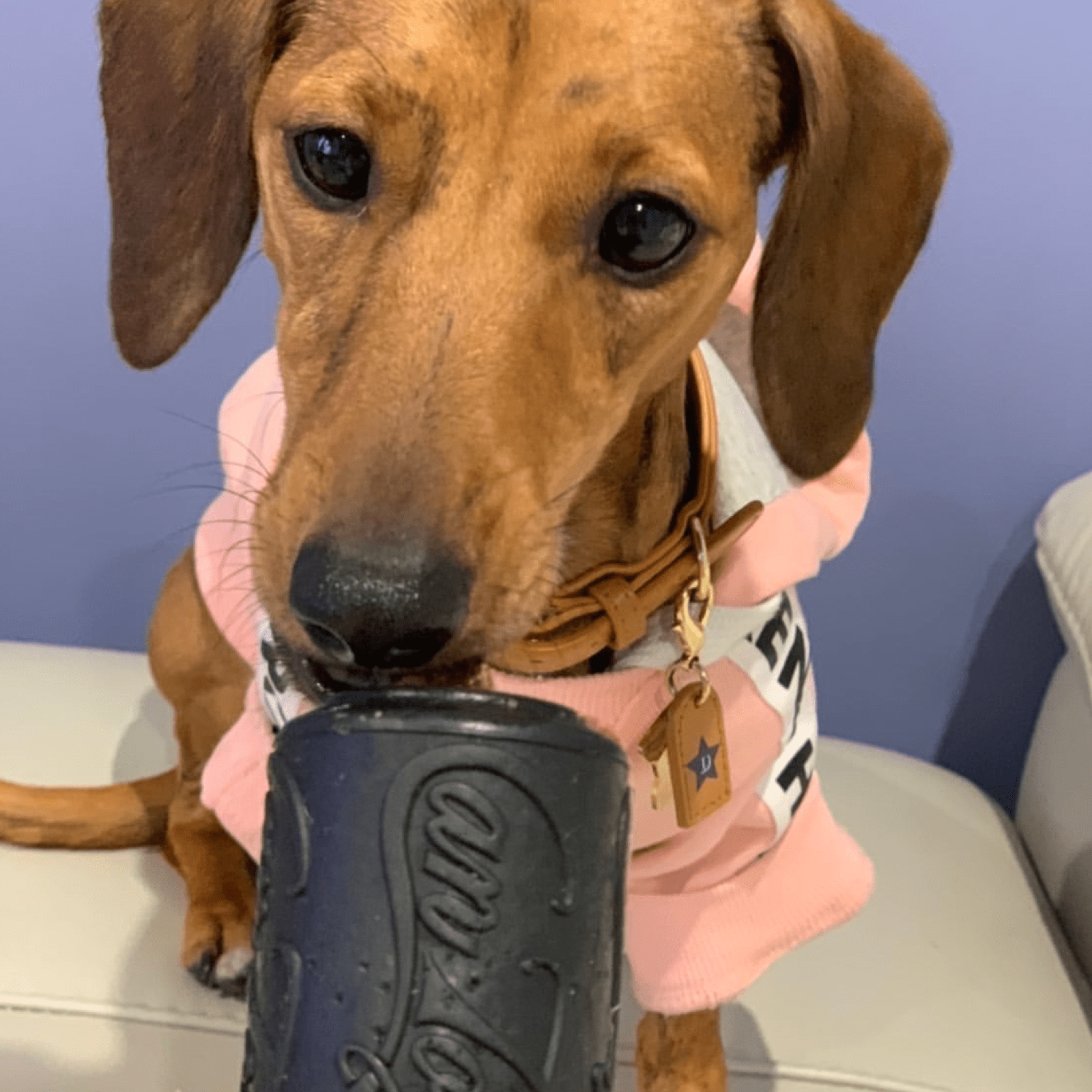 Magnum Can Toy (Power Chewers)-Dog Toy-Rover Pet Products