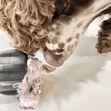 Magnum Gear-Dog Toy-Rover Pet Products