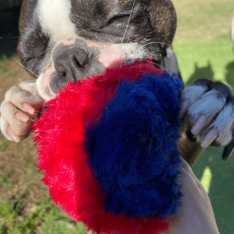 Nuggle Ball-Rover Pet Products