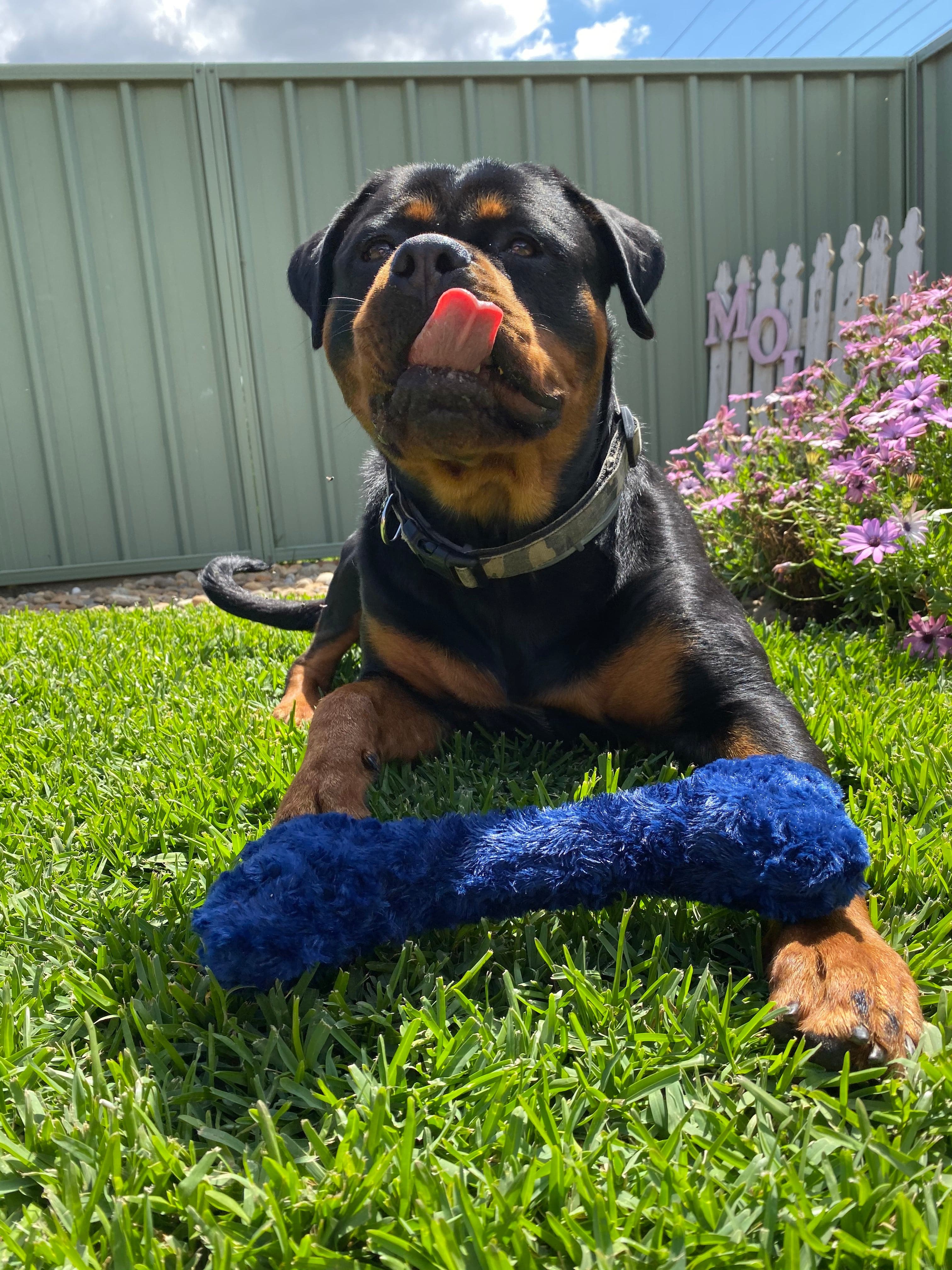 Nuggle Bones-Unclassified-Rover Pet Products