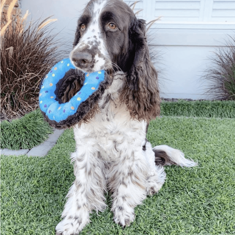 Nuggle Donut-Unclassified-Rover Pet Products